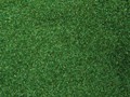 Имитатор растительности зеленый 200g Noch (08372)